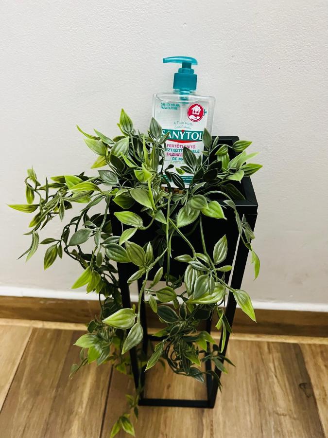 Apartament Altheda Living Tineretului E8 Suczawa Zewnętrze zdjęcie